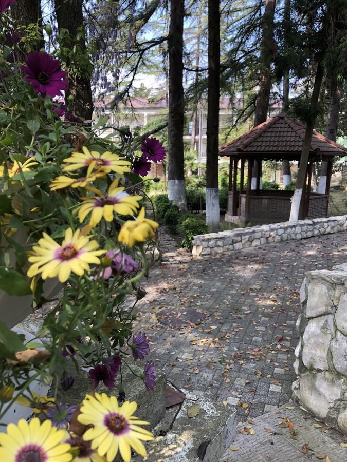 Heliopark Gora Bagrata Otel Sohum Dış mekan fotoğraf