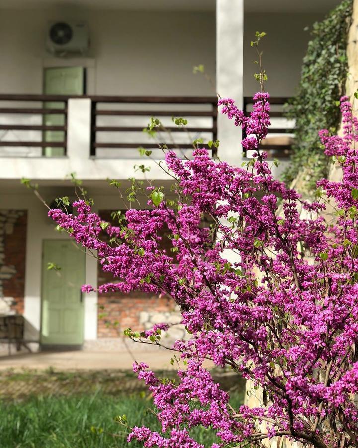 Heliopark Gora Bagrata Otel Sohum Dış mekan fotoğraf