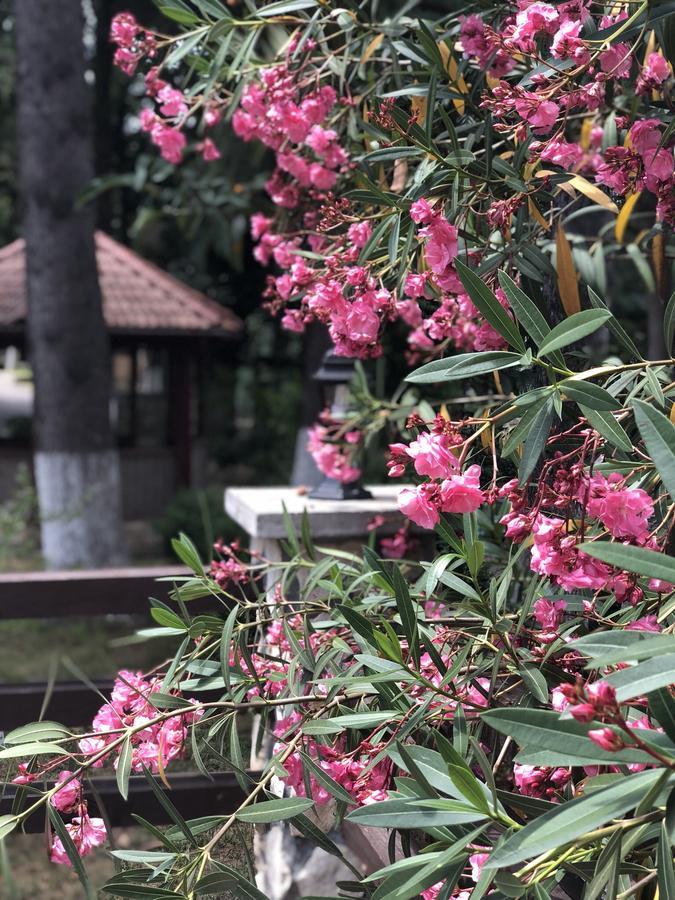 Heliopark Gora Bagrata Otel Sohum Dış mekan fotoğraf