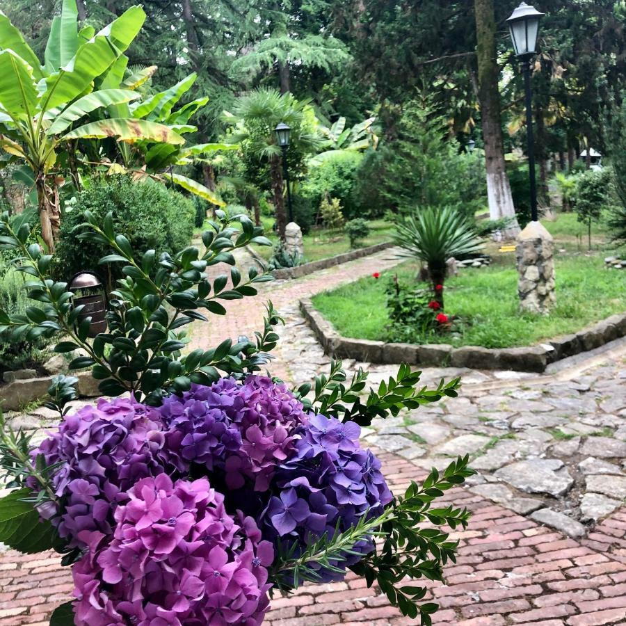 Heliopark Gora Bagrata Otel Sohum Dış mekan fotoğraf